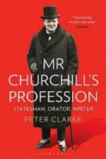 Mr Churchill's Profession