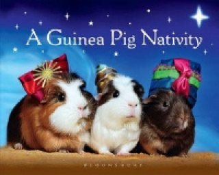 Guinea Pig Nativity