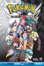 Pokemon Black and White, Vol. 11