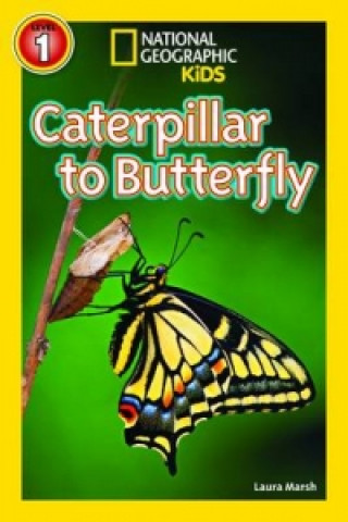 National Geographic Kids Readers: Caterpillar to Butterfly