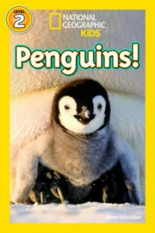 National Geographic Kids Readers: Penguins