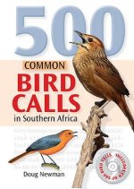 500 Common bird calls in Southern Africa