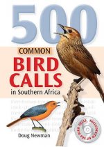 500 Common bird calls in Southern Africa
