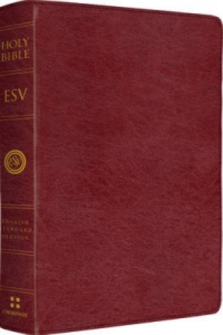 ESV Giant Print Bible