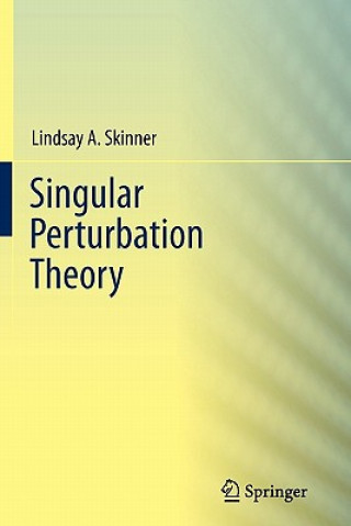 Singular Perturbation Theory