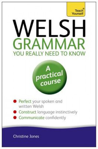 Welsh Grammar You Really Need to Know: Teach Yourself