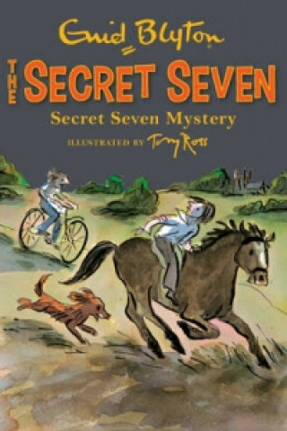 Secret Seven: Secret Seven Mystery