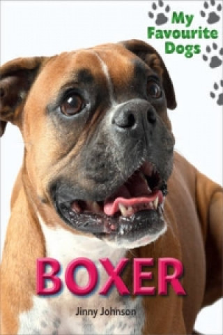 Boxer