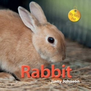 My New Pet: Rabbit