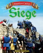 Knights and Castles: Siege
