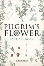 Pilgrim's Flower