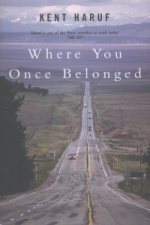 Where You Once Belonged