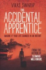 Accidental Apprentice