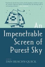 Impenetrable Screen of Purest Sky
