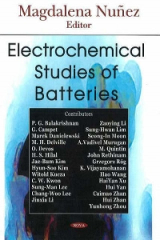 Electrochemical Studies of Batteries