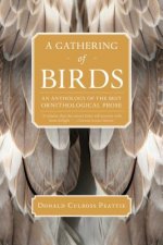 Gathering of Birds