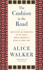 Cushion In The Road