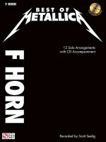 Metallica