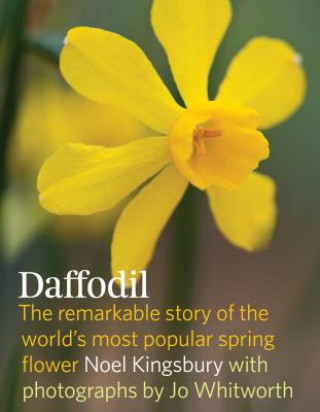 Daffodil the Remarkable Story of the Worlds Most Popular Spring Flower