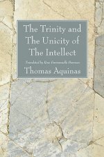 Trinity and The Unicity of The Intellect