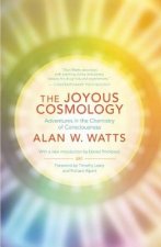 Joyous Cosmology