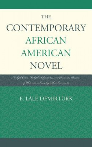 Contemporary African American Novel