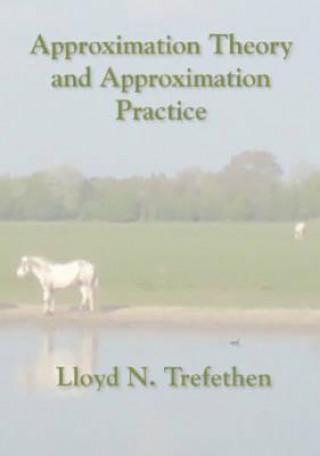 Approximation Theory and Approximation Practice