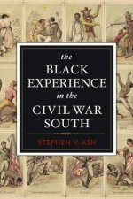 Black Experience in the Civil War South