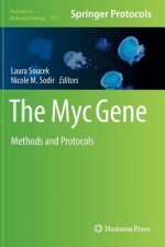 Myc Gene