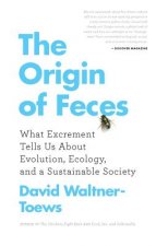 Origin Of Feces