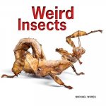 Weird Insects