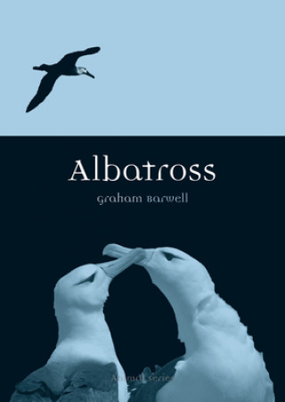 Albatross (Graham Barwell)(Miękka)