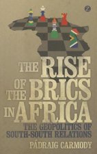 Rise of the BRICS in Africa