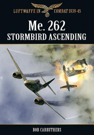 Me. 262 Stormbird Ascending