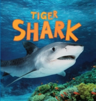 Discover Sharks: Tiger Shark