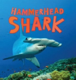 Discover Sharks: Hammerhead Shark