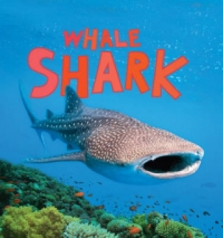 Discover Sharks: Whale Shark