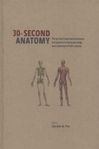 30-second Anatomy