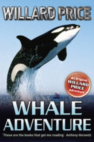 Whale Adventure