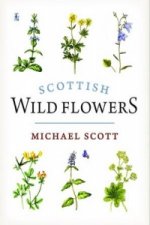 Scottish Wild Flowers