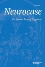 Elucidating the Neural Basis of the Self