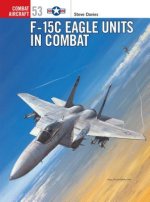 F-15 C Eagle Units in Combat