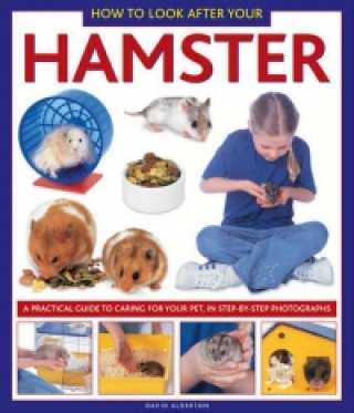 How to Look After Your Hamster