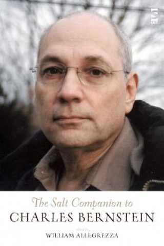 Salt Companion to Charles Bernstein