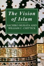 Vision of Islam