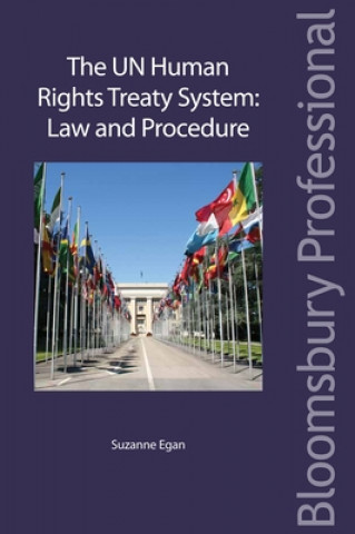 Human Rights Treaty System