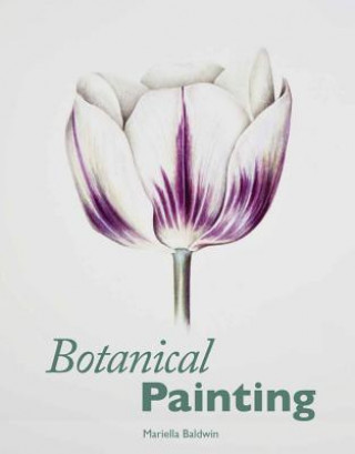 Botanical Painting