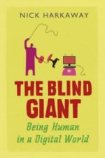 The Blind Giant EXPORT  Airside  Ireland