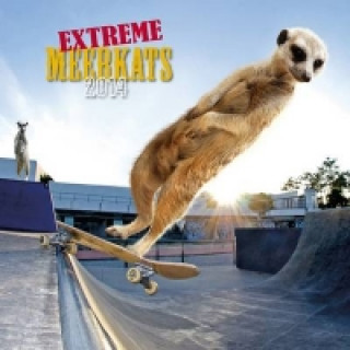 Extreme Meerkats 2014 Calendar