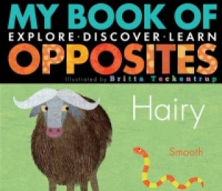 My Book of Opposites